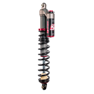 SUSPENSION R24 ARRIÈRE ELKA R36 ÉLITE STAGE 5