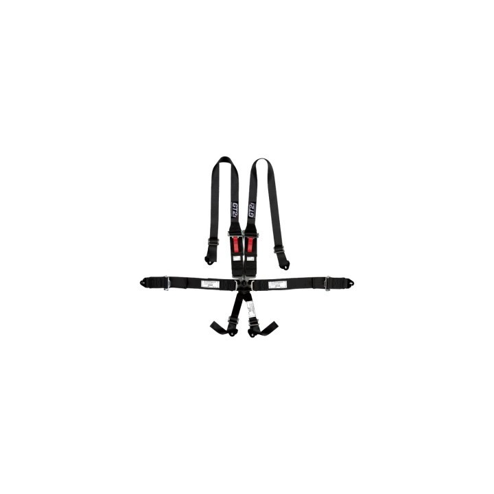 HARNAIS 6 POINTS FIA PASSAGE 2"/3" HANS
