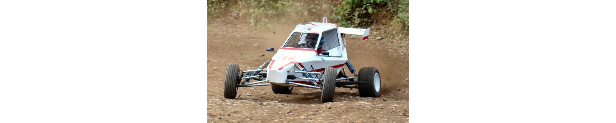 STINGER 1